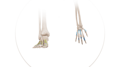Mini Plaklar