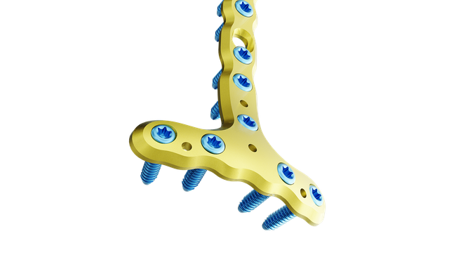 Distal Tibia Anterior Plak