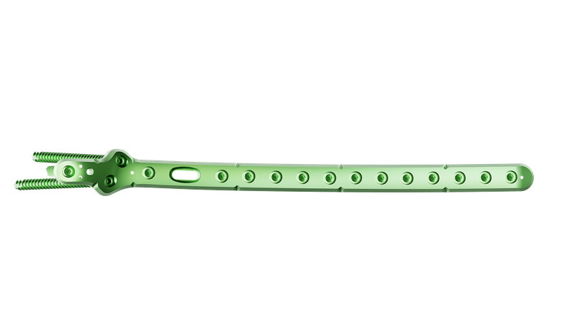 Proksimal Femur Lateral Anatomik Plak
